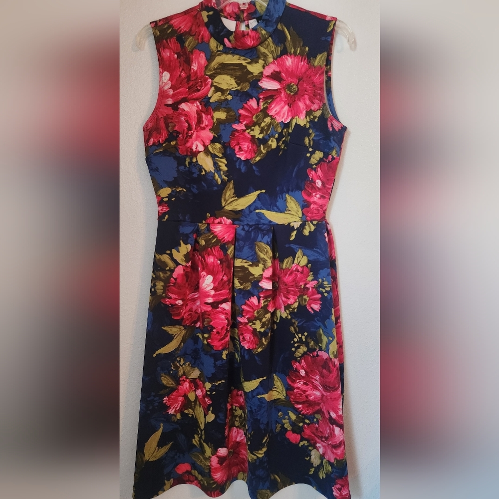Enfocus Studio Women's Floral Dress size 8